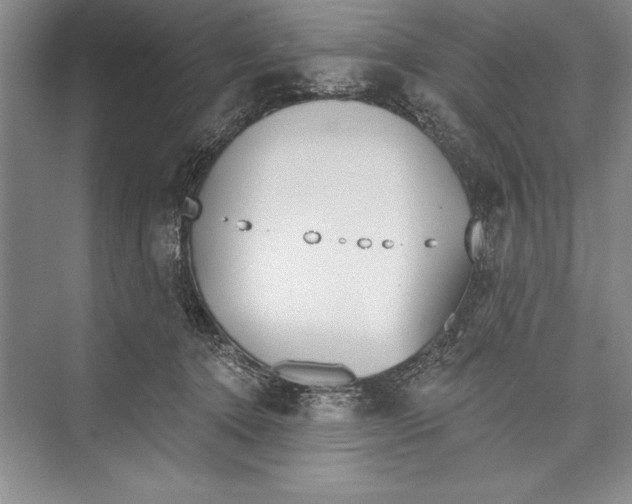 X0000072490368200608111608