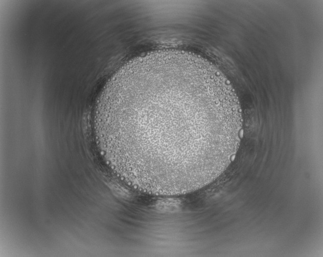 X0000072490369200608111608