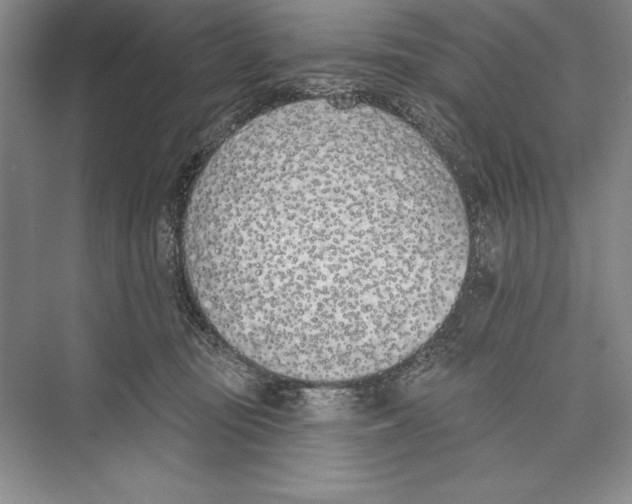 X0000072490371200608111608