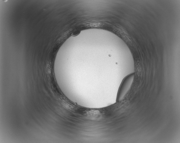 X0000072490374200608111608