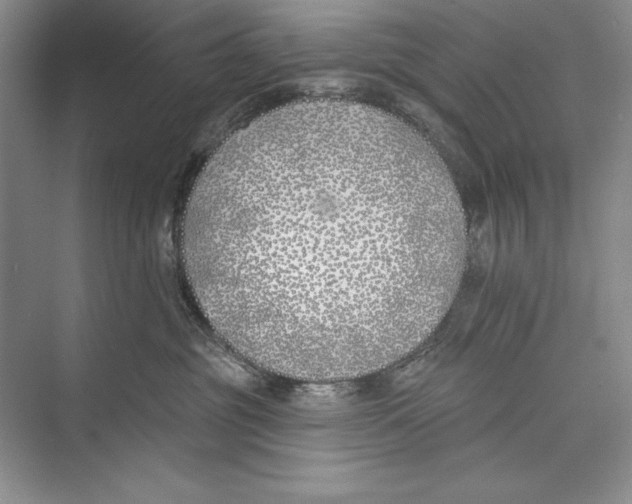 X0000072490381200608111608