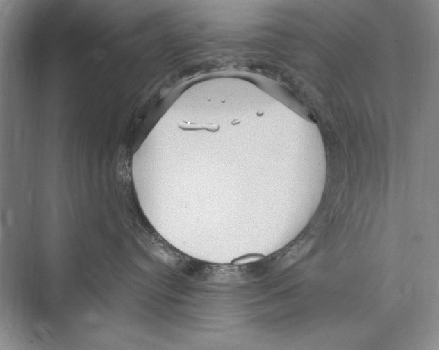 X0000072490384200608111608