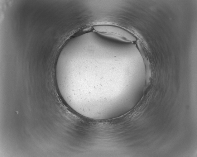 X0000072490385200608111607