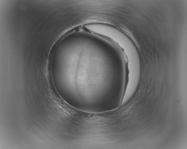 X0000072490387200608111607