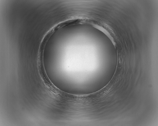 X0000072490388200608111607