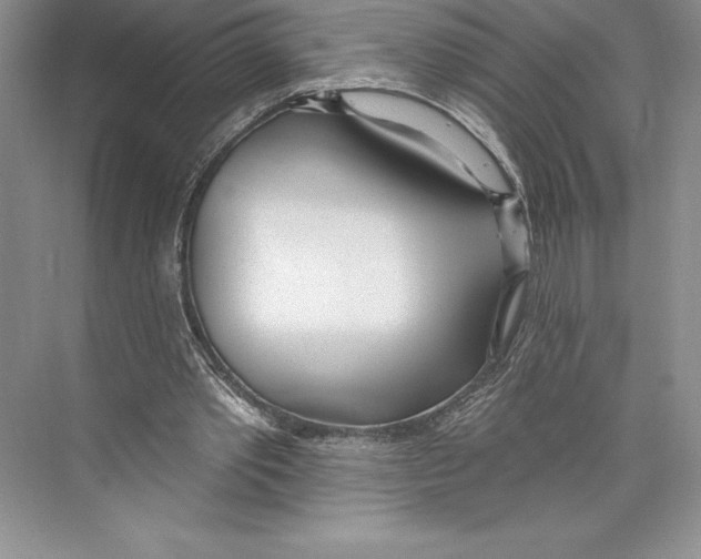 X0000072490389200608111607