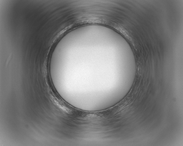 X0000072490390200608111607