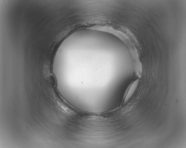 X0000072490393200608111607