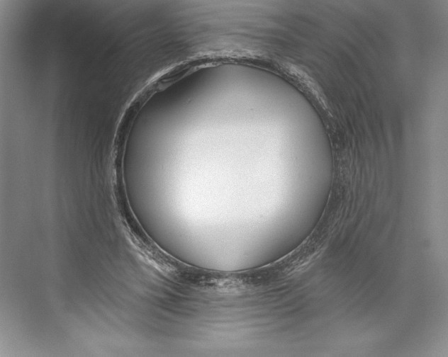 X0000072490395200608111607