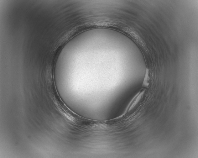 X0000072490397200608111607