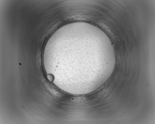 X0000072490398200608111607