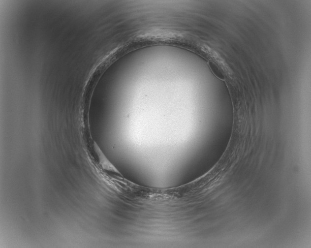 X0000072490399200608111607