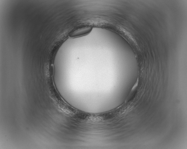 X0000072490403200608111607