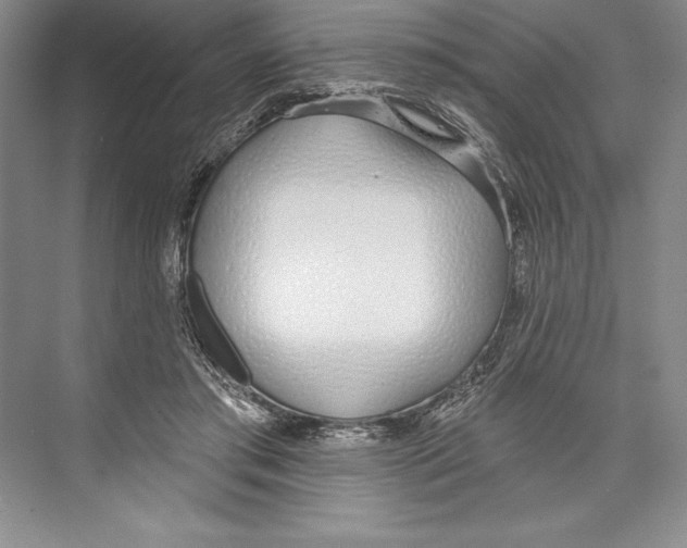 X0000072490405200608111607