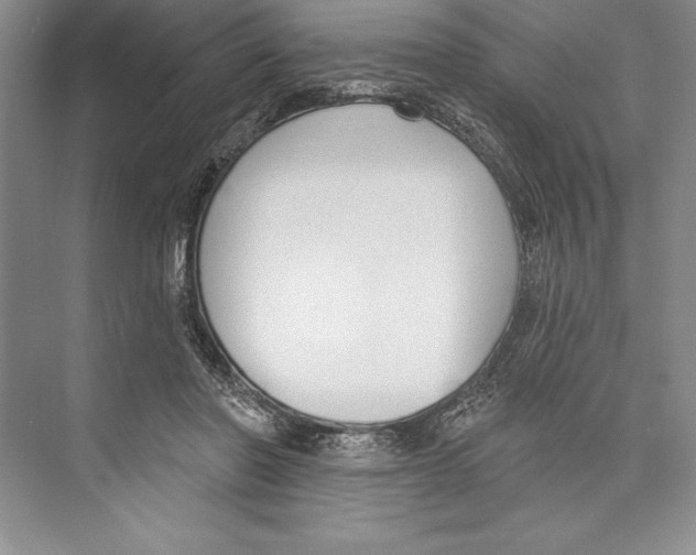 X0000072490406200608111607