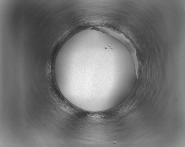 X0000072490407200608111607