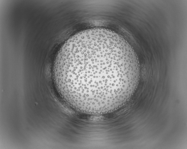 X0000072490410200608111607