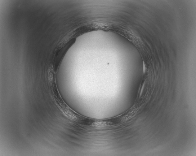 X0000072490413200608111607