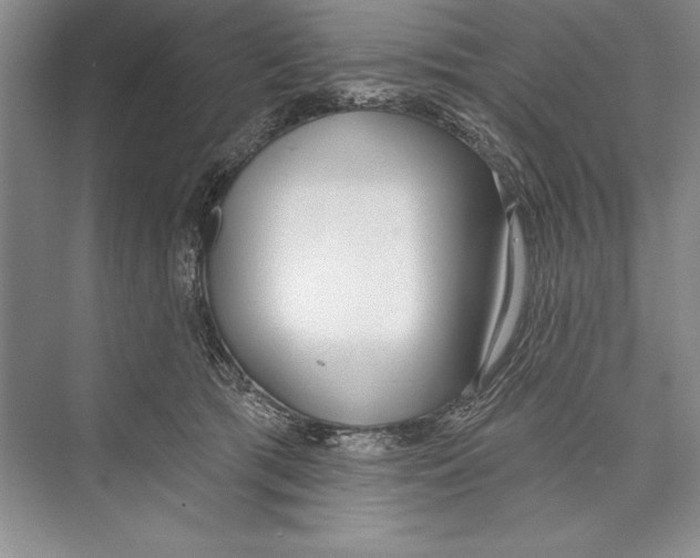 X0000072490417200608111607