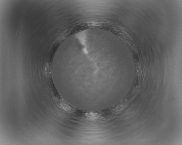 X0000072490419200608111607