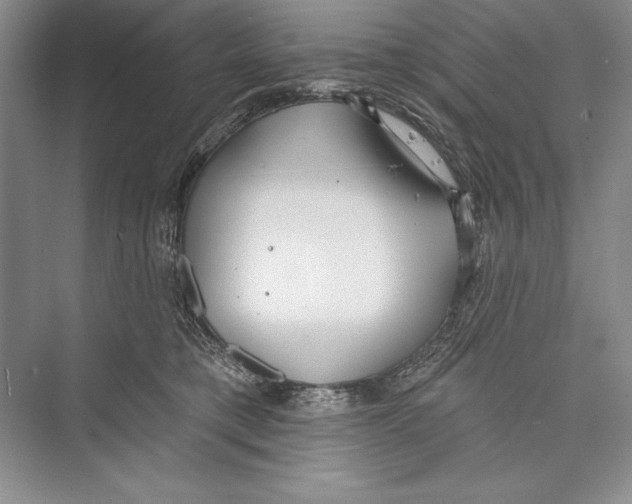 X0000072490421200608111607