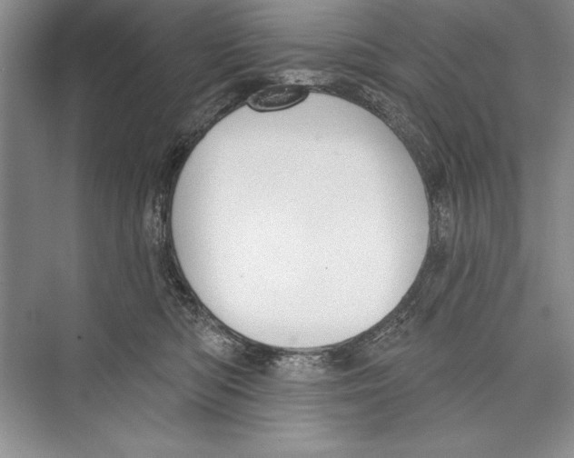 X0000072490422200608111607