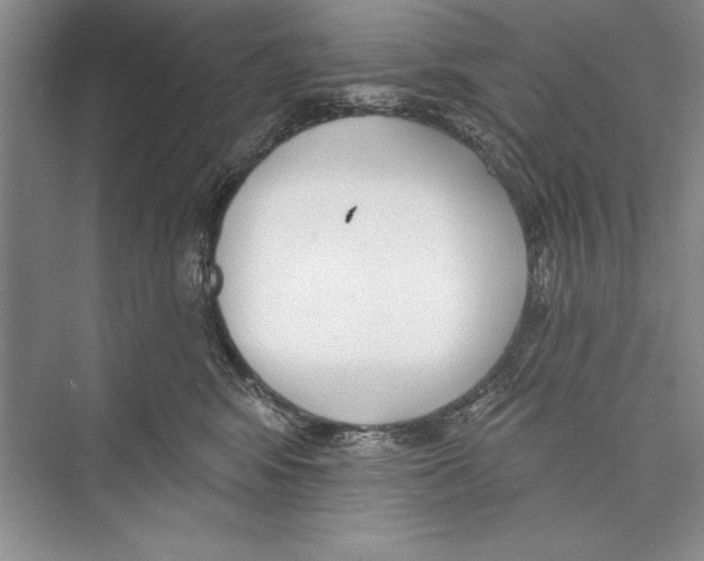 X0000072490424200608111607