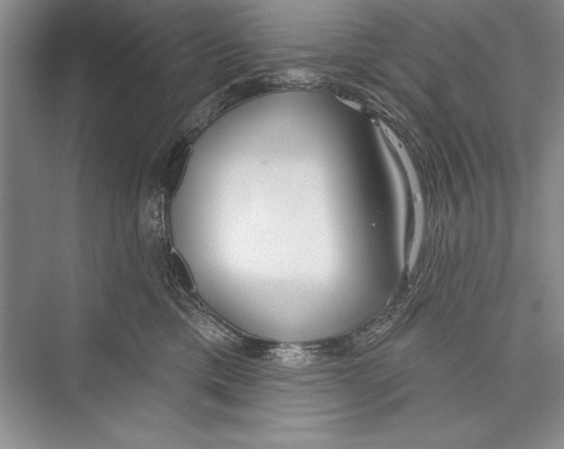 X0000072490425200608111607