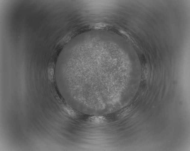 X0000072490427200608111607