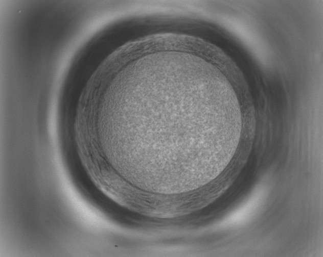 X0000072490431200608111607