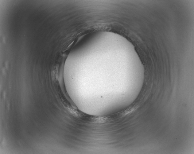 X0000072490432200608111607