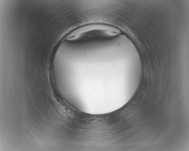 X0000072490434200608111606