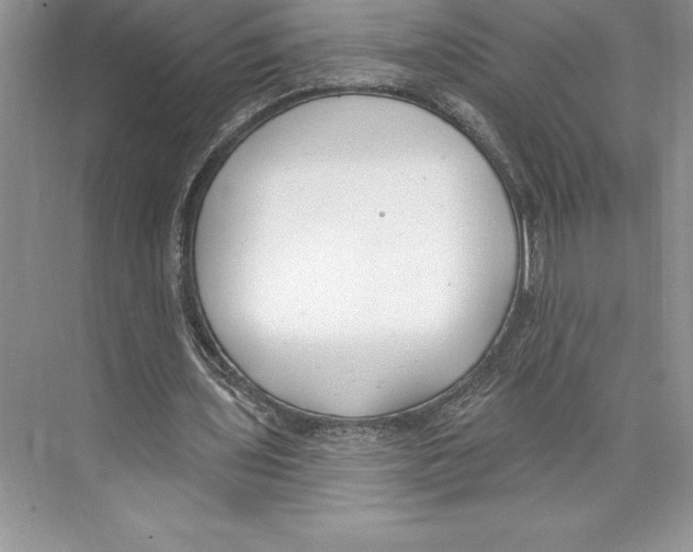 X0000072490435200608111606