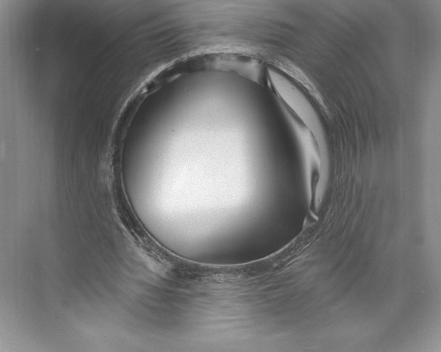 X0000072490436200608111606