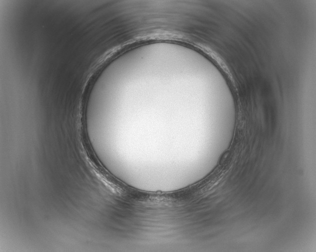 X0000072490437200608111606