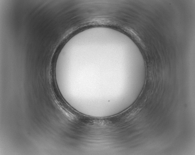 X0000072490439200608111606