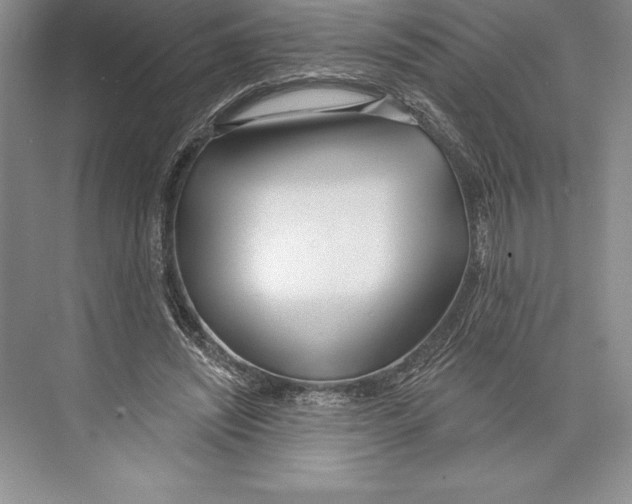 X0000072490444200608111606