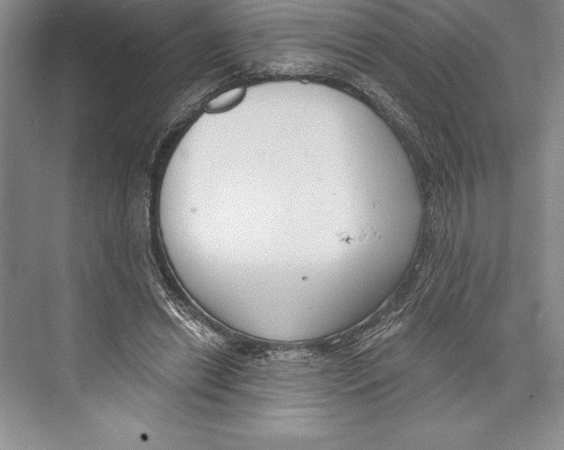 X0000072490446200608111606