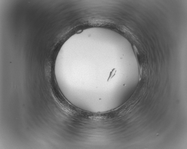 X0000072490448200608111606