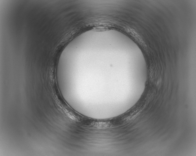 X0000072490449200608111606