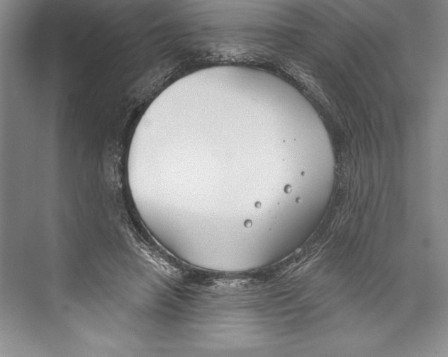 X0000072490450200608111606