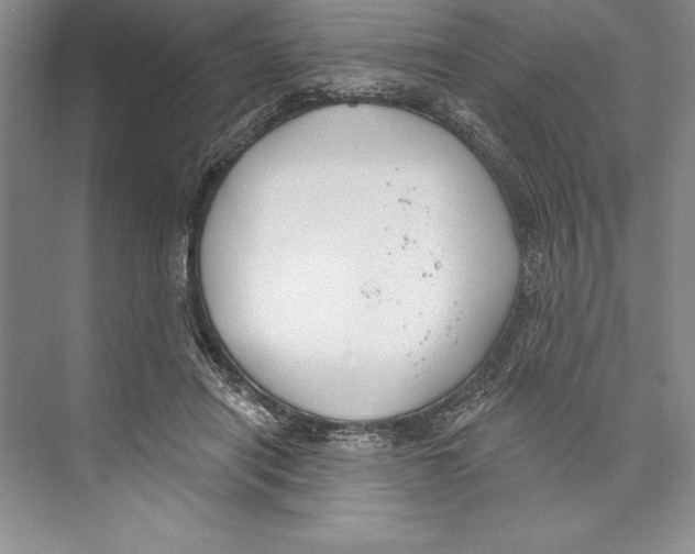 X0000072490454200608111606