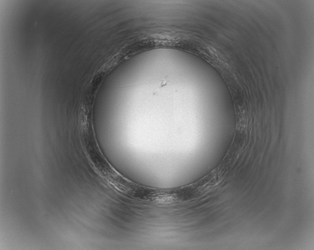 X0000072490456200608111606