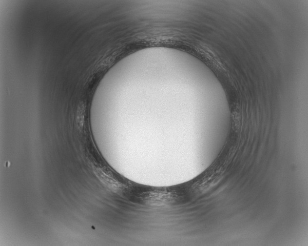 X0000072490458200608111606