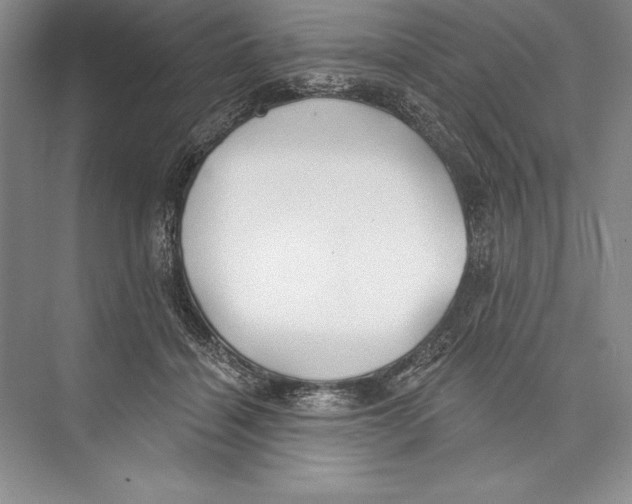 X0000072490460200608111606