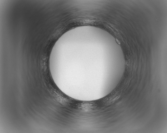 X0000072490462200608111606