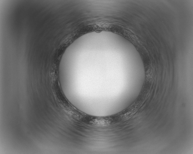 X0000072490464200608111606