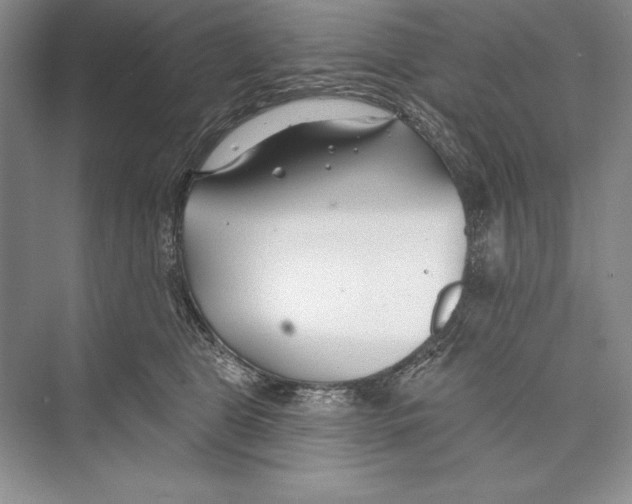 X0000072490469200608111606