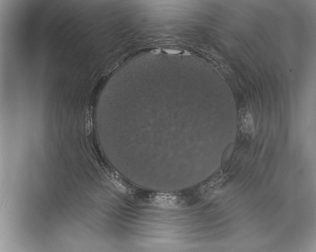 X0000072490471200608111607