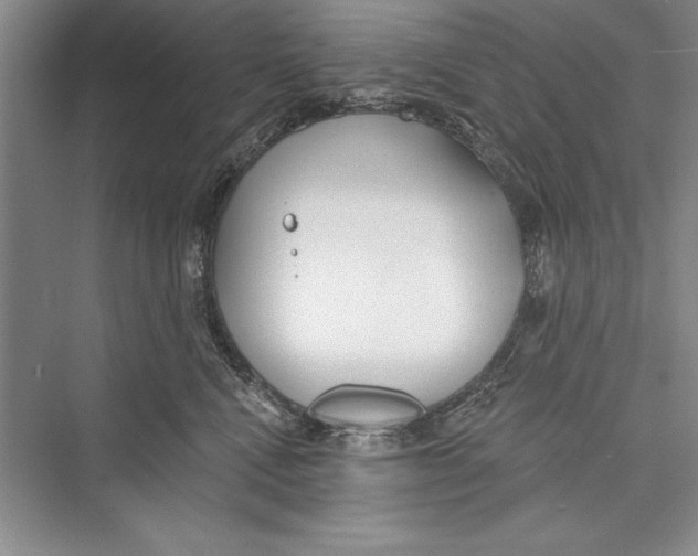 X0000072490472200608111607